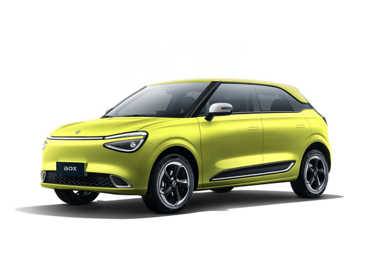 2024 Electric car DongFeng Nammi 001 42.3kWh 94 hp automatic