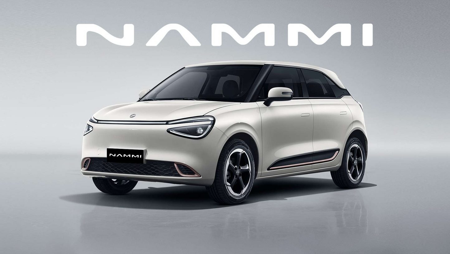 2024 Electric car DongFeng Nammi 001 42.3kWh 94 hp automatic 